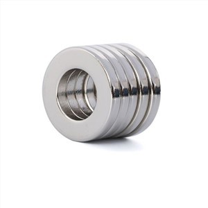 Magneti ad anello per terre rare